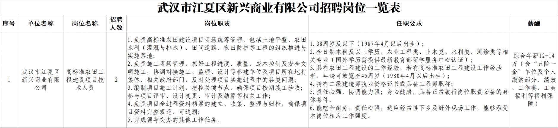 2026武汉市江夏区新兴商业有限公司招聘项目技术人员2人