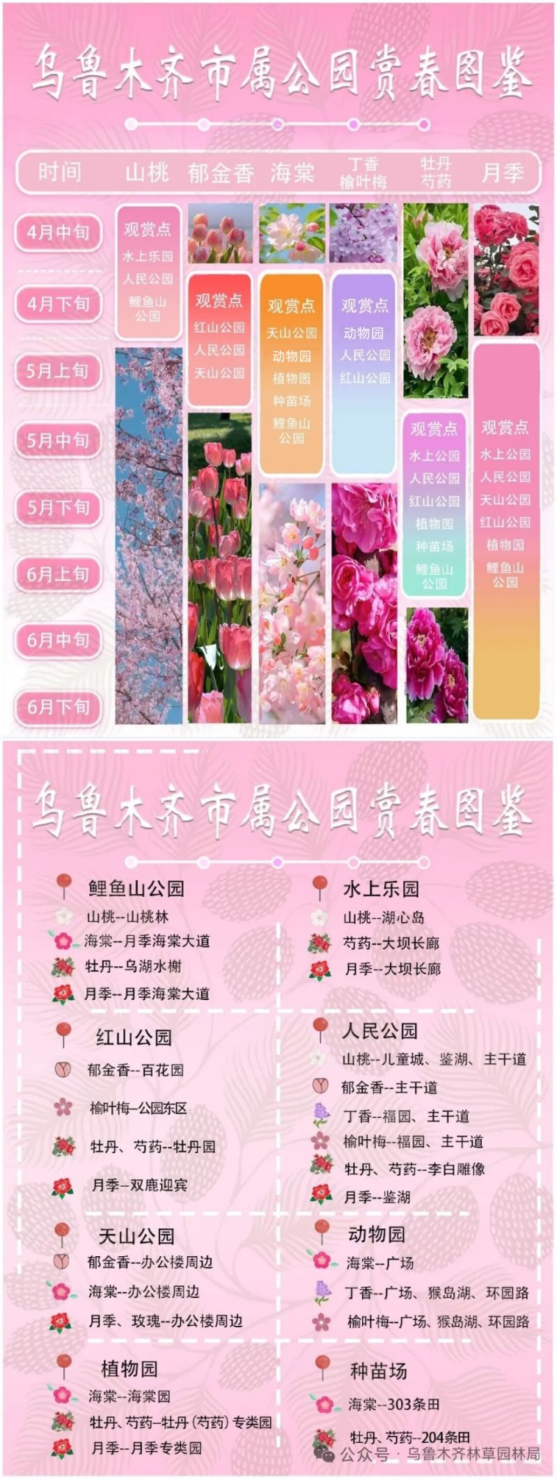 乌鲁木齐市属公园赏春图鉴