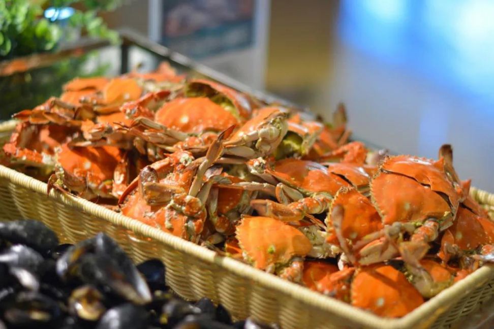 中秋国庆温州洞头海岛度假攻略