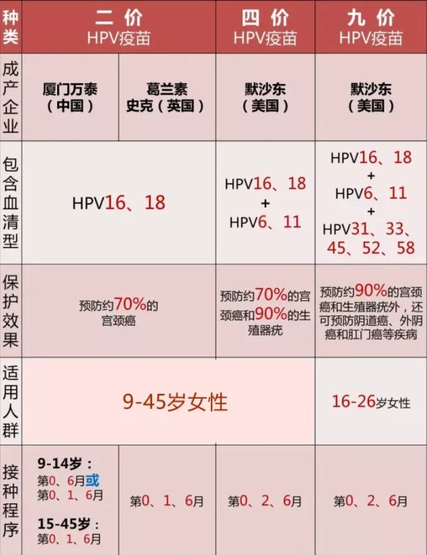 宫颈筛查多少钱图片