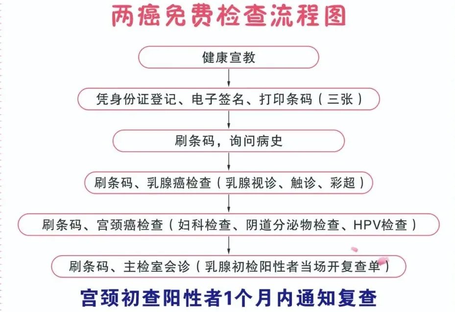 两癌筛查主要查什么图片