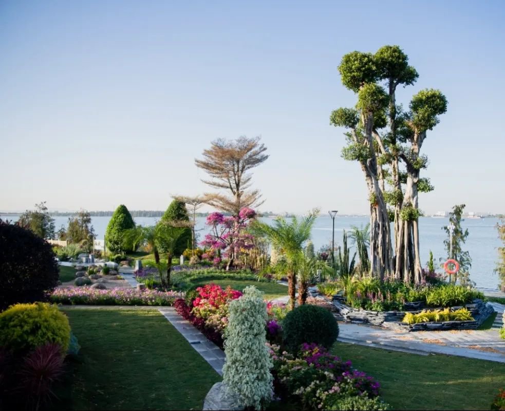 中山横栏镇西江花洲在哪里