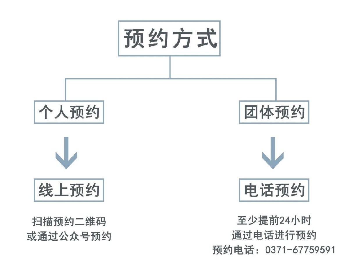 郑州美术馆新馆预约图片